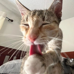 Meet your Posher, Sebastián